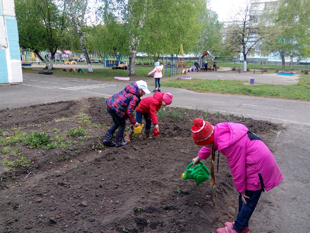 3.2. клумба.jpg